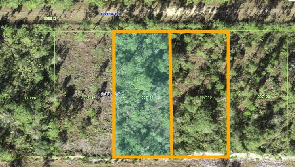 213 & 211 IXORA DRIVE INDIAN LAKE ESTATES, FL 33855
