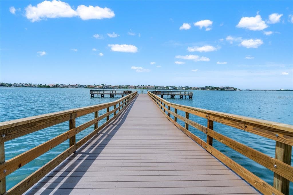 5200 BRITTANY DRIVE S UNIT 1202 ST PETERSBURG, FL 33715