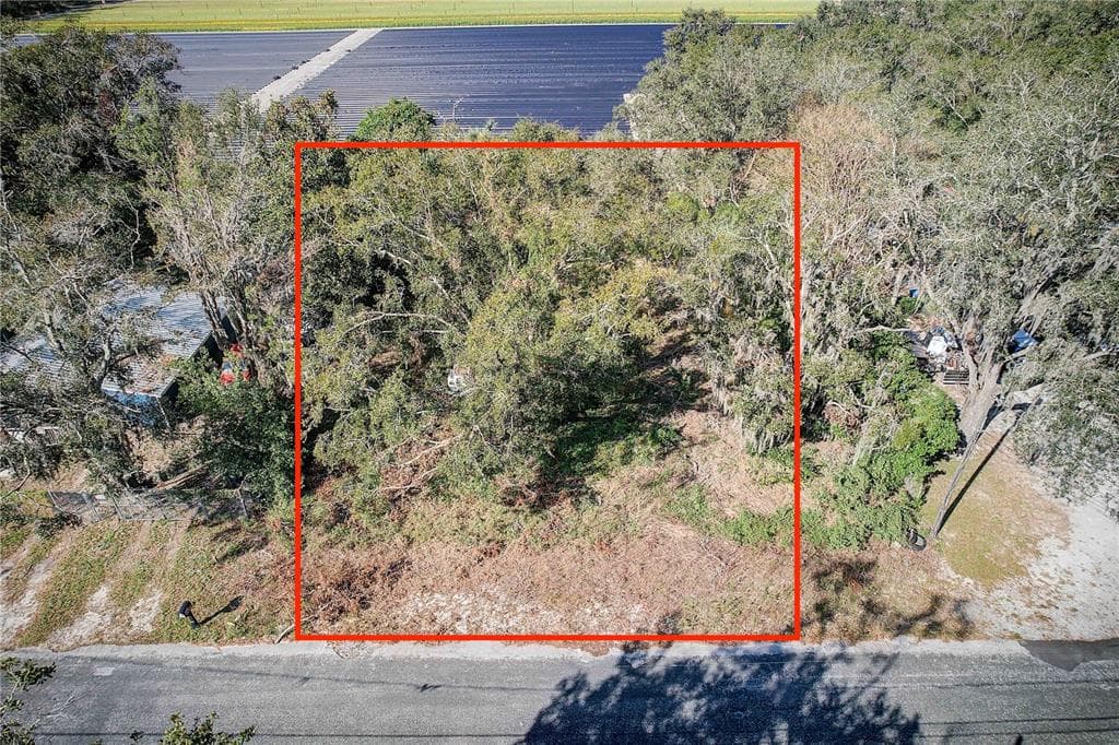1333 WILKINSON DRIVE PLANT CITY, FL 33566