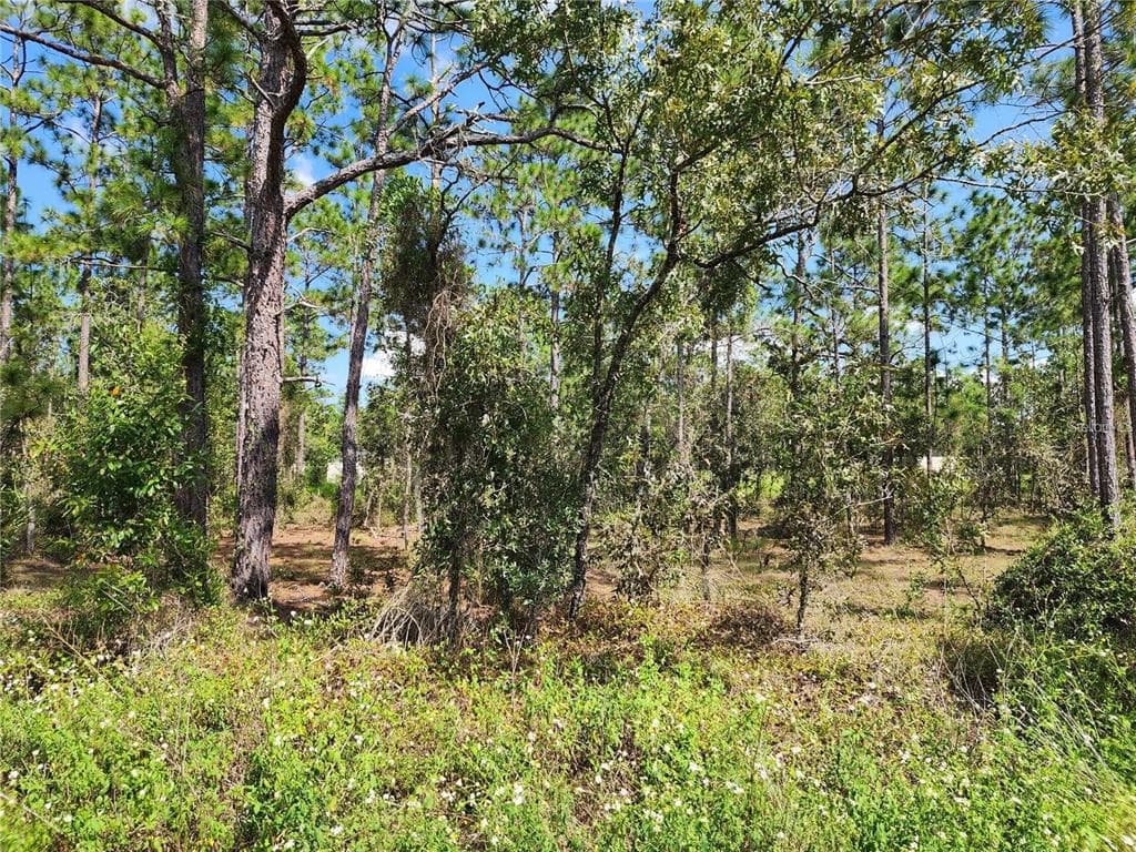 TBD SW RIDGEWOOD ROAD DUNNELLON, FL 34431