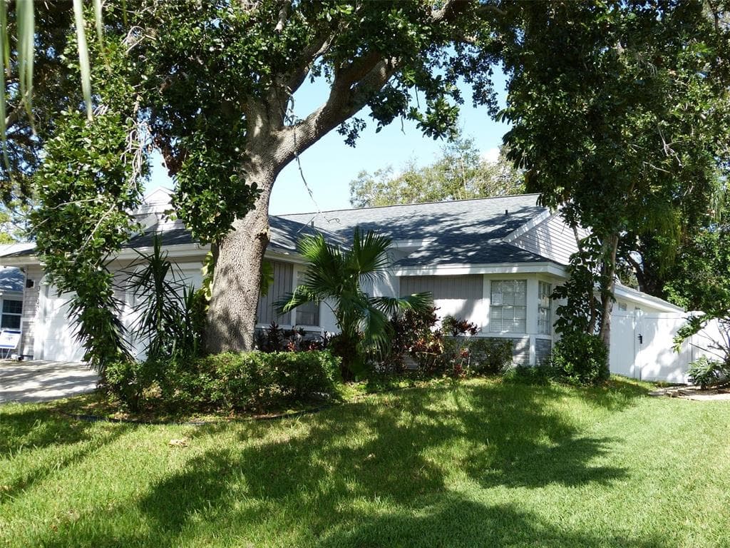 3135 PHLOX DRIVE PALM HARBOR, FL 34684