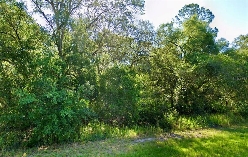 SE 105 PLACE OCKLAWAHA, FL 32179