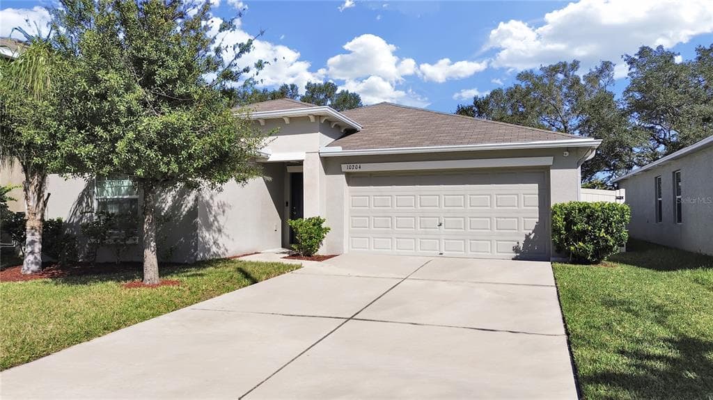 10204 STRAWBERRY TETRA DRIVE RIVERVIEW, FL 33578