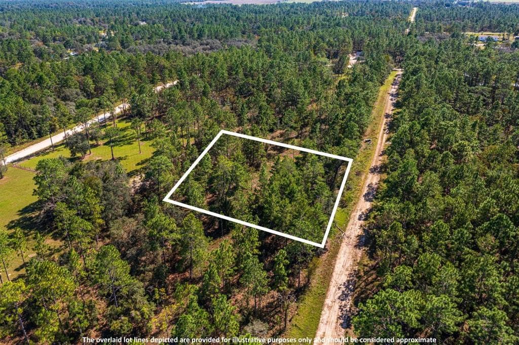 Lot #9 NE 133RD TERRACE WILLISTON, FL 32696