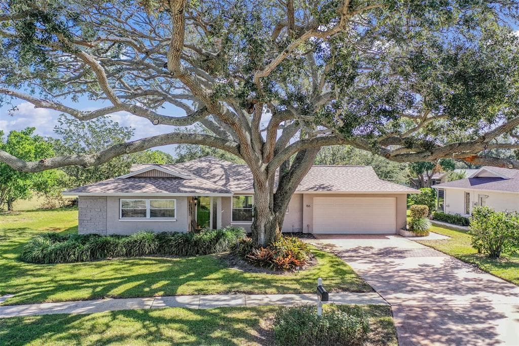 166 STAFFORD CIRCLE PALM HARBOR, FL 34684