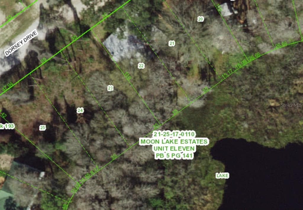 12350 DORSEY DRIVE NEW PORT RICHEY, FL 34654