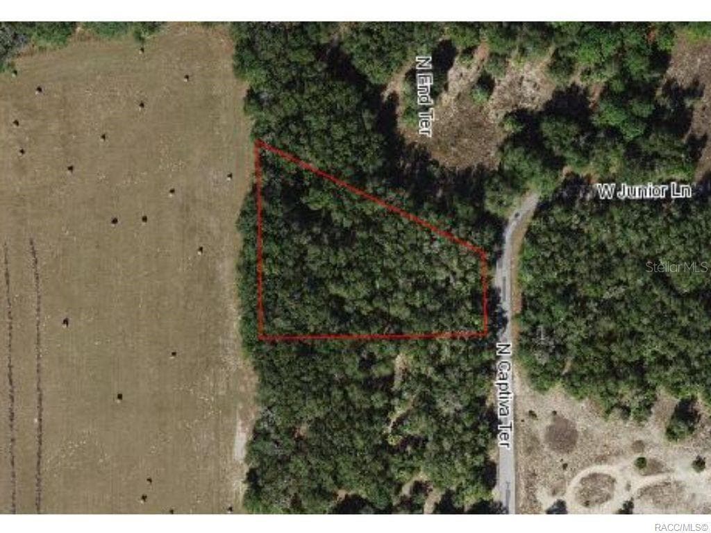 11916 N CAPTIVA TERRACE DUNNELLON, FL 34433