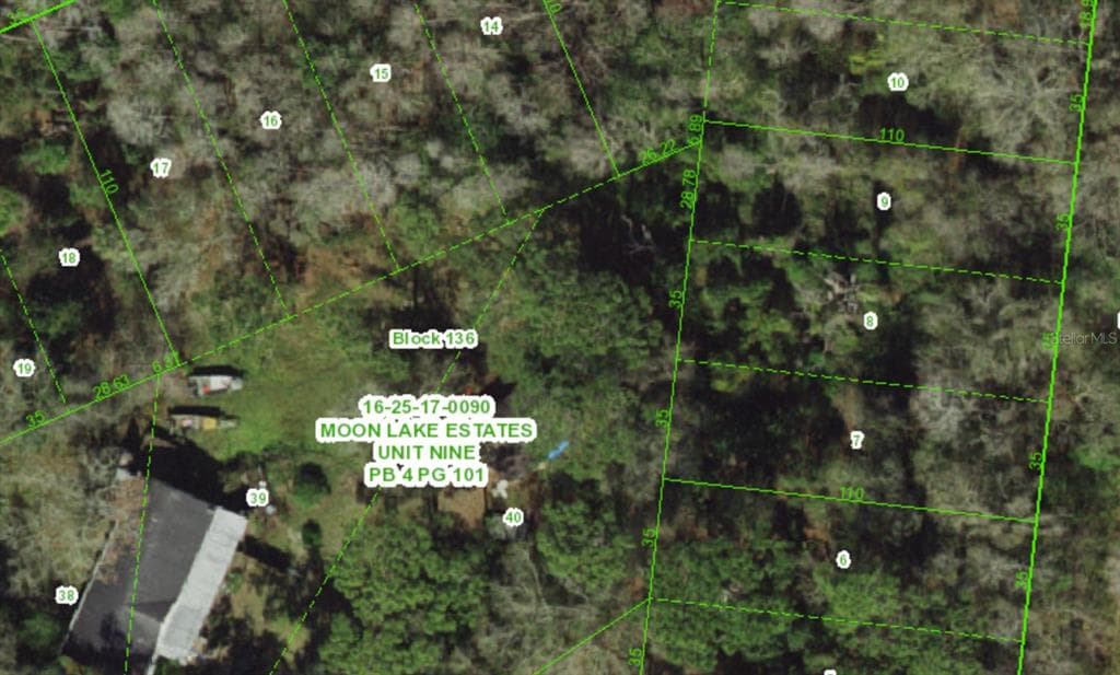 12560 PALLANZA LOOP NEW PORT RICHEY, FL 34654