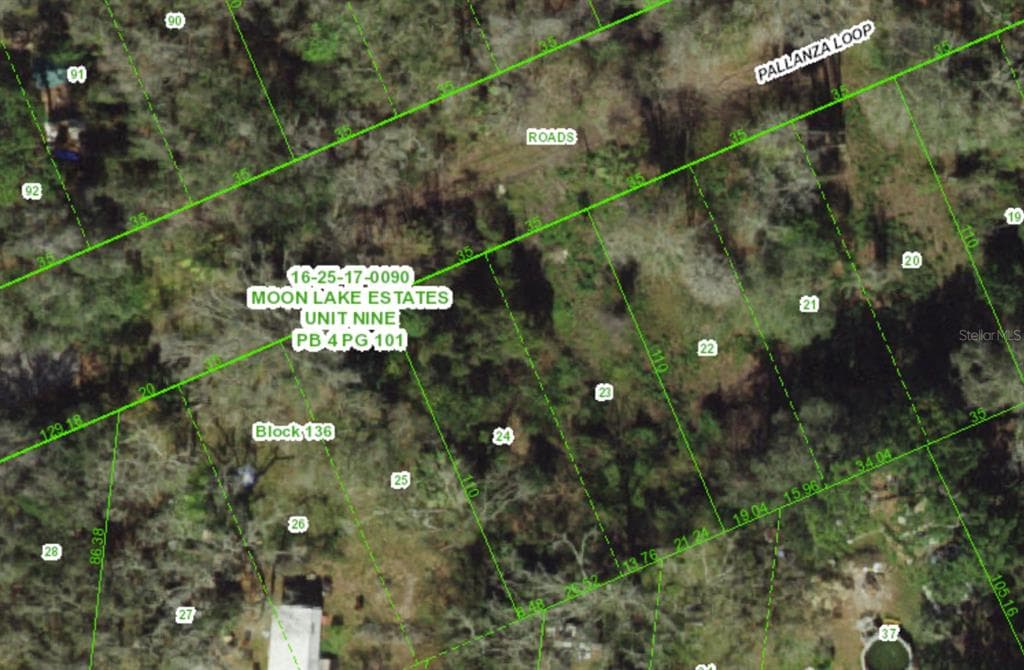 12456 PALLANZA LOOP NEW PORT RICHEY, FL 34654