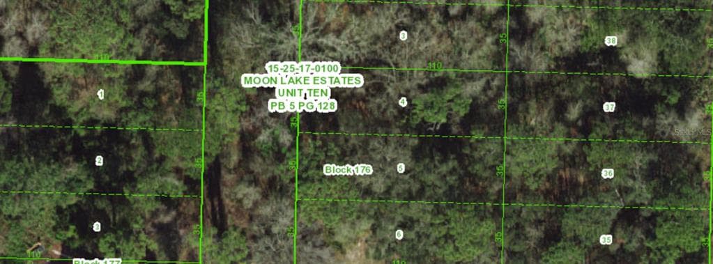 0 OANA NEW PORT RICHEY, FL 34654