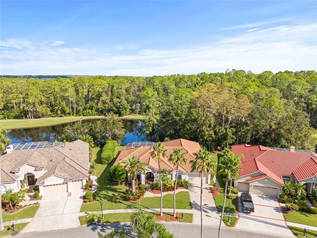 12017 BREWSTER DRIVE TAMPA, FL 33626