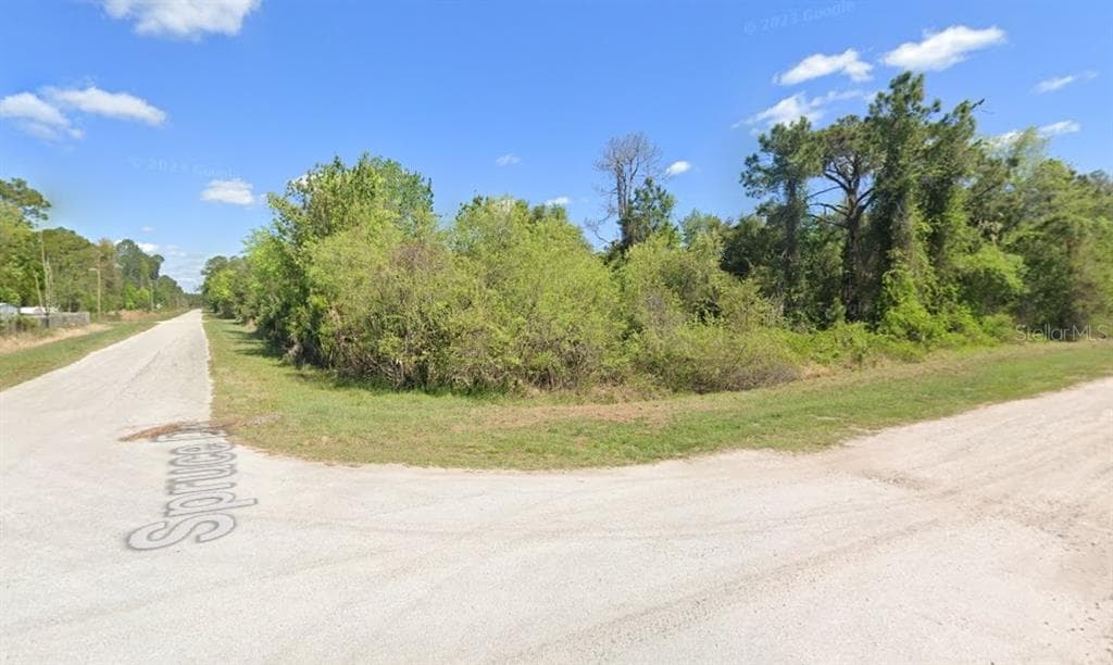 Lot 22 & Lot 21 SPRUCE DRIVE GEORGETOWN, FL 32139