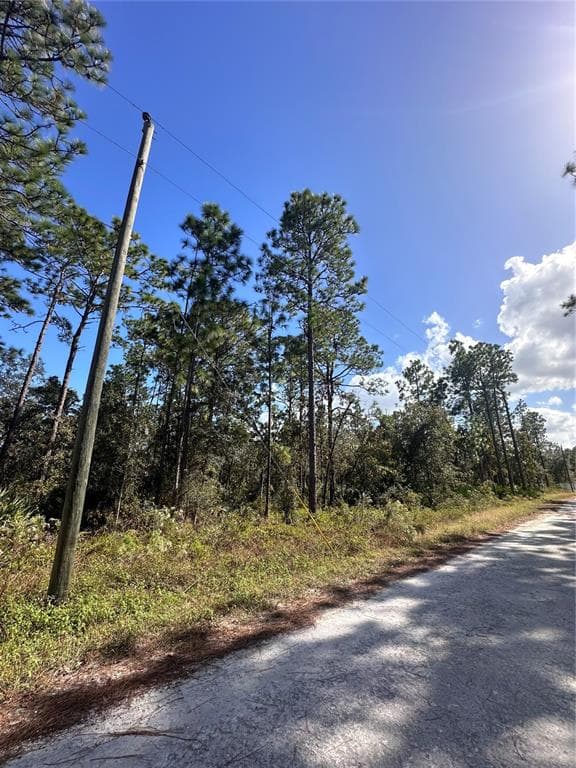 17046 NECKLACE WARBLER AVENUE BROOKSVILLE, FL 34614