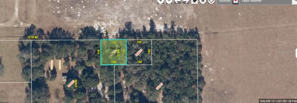 1349 N FORT CHRISTMAS ROAD CHRISTMAS, FL 32709