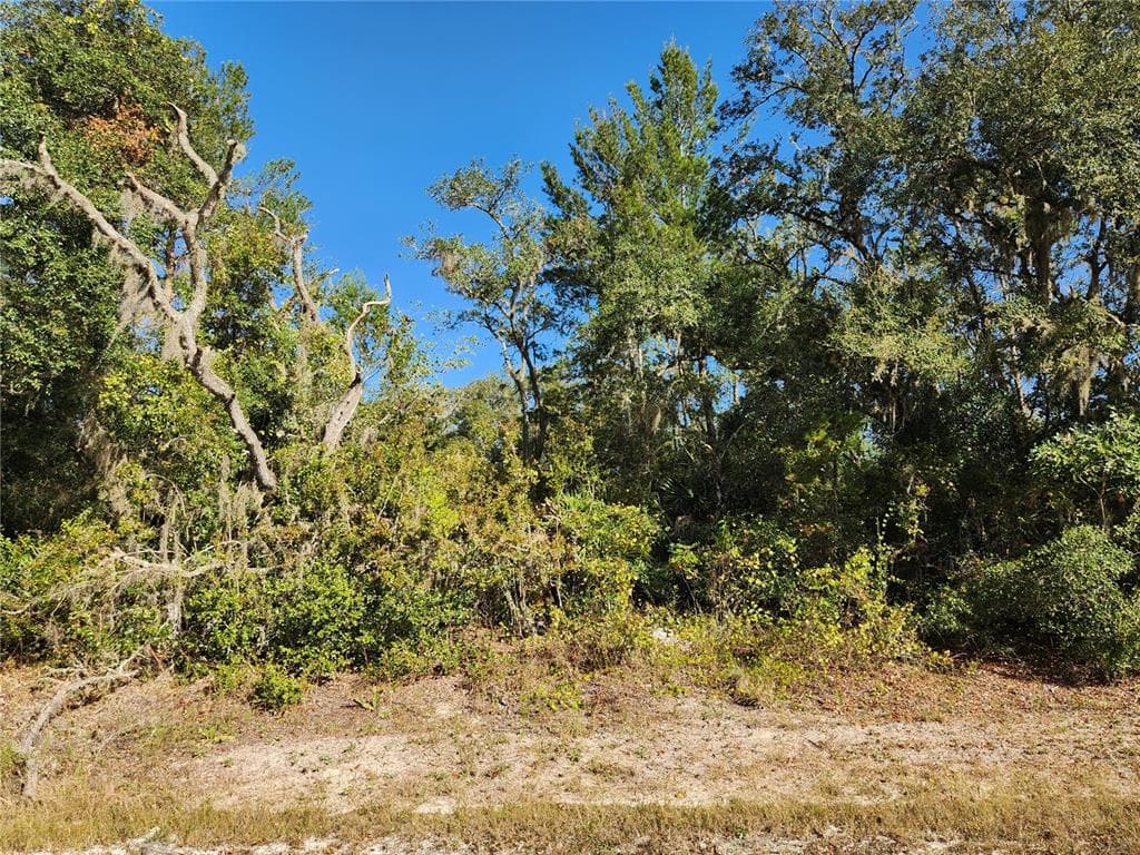 RIVERSTONE STREET WEBSTER, FL 33597