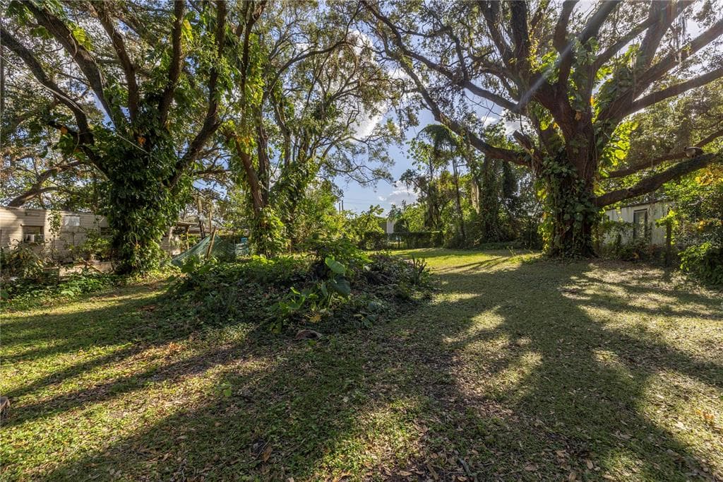7410 BROOKLYN ROAD TAMPA, FL 33625