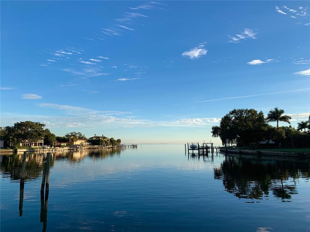 1331 BRIGHTWATERS BOULEVARD NE ST PETERSBURG, FL 33704