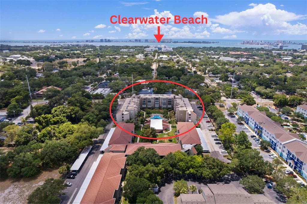 1243 S MARTIN LUTHER KING JR AVENUE UNIT B204 CLEARWATER, FL 33756