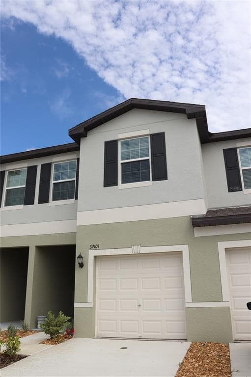 32101 POWDERPUFF MIMOSA DRIVE SAN ANTONIO, FL 33576