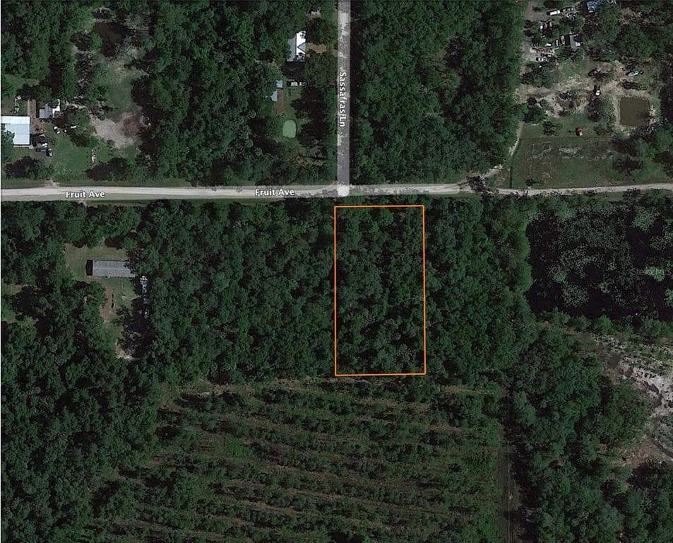 6519 FRUIT AVENUE BUNNELL, FL 32110