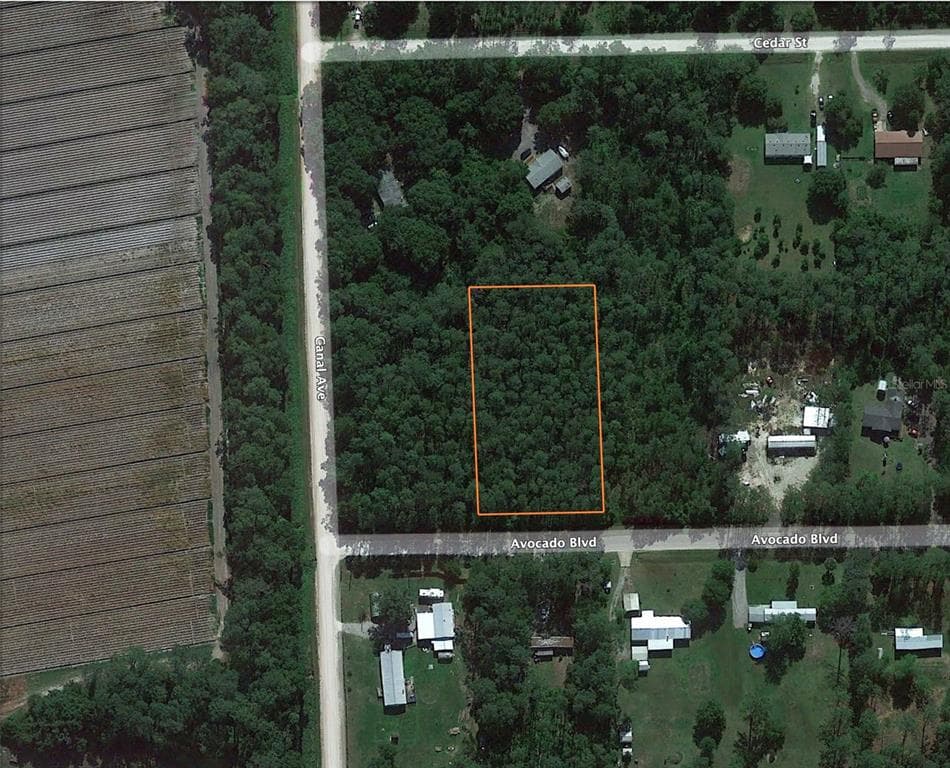 1051 AVOCADO BOULEVARD BUNNELL, FL 32110