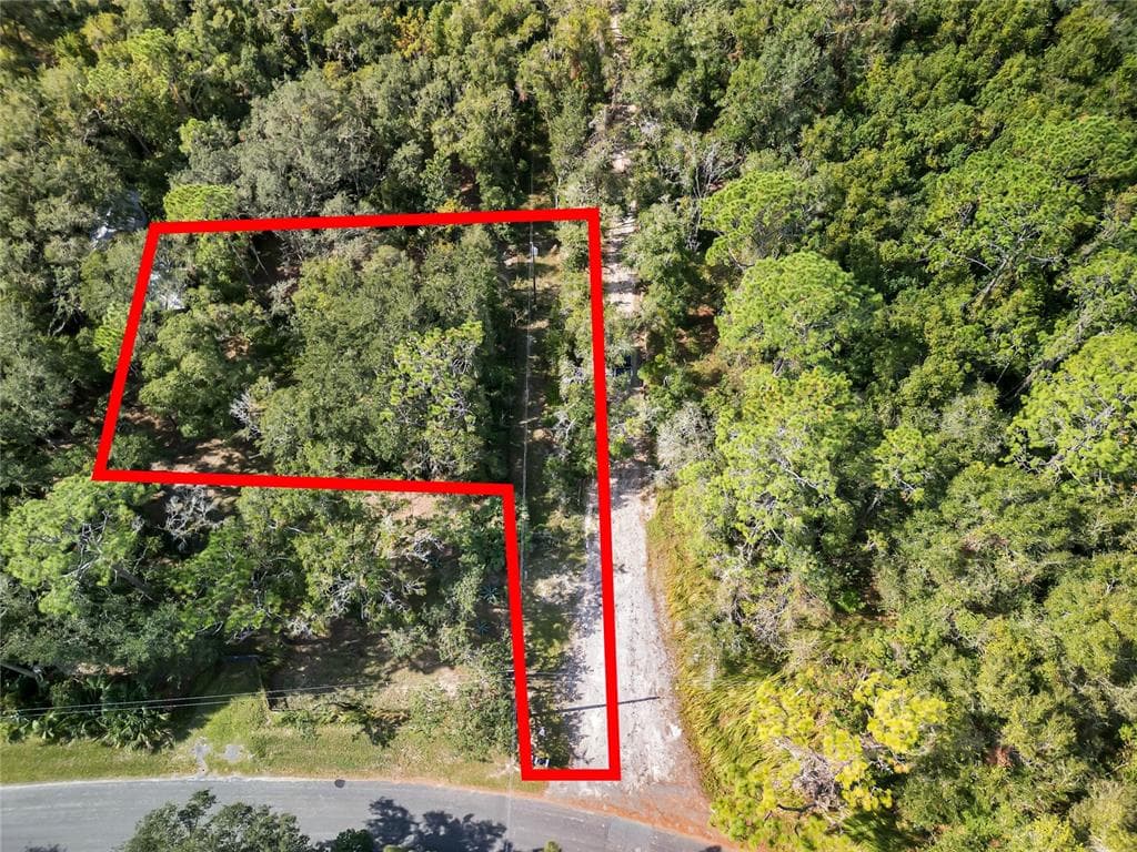 16746 SE 165TH AVENUE WEIRSDALE, FL 32195