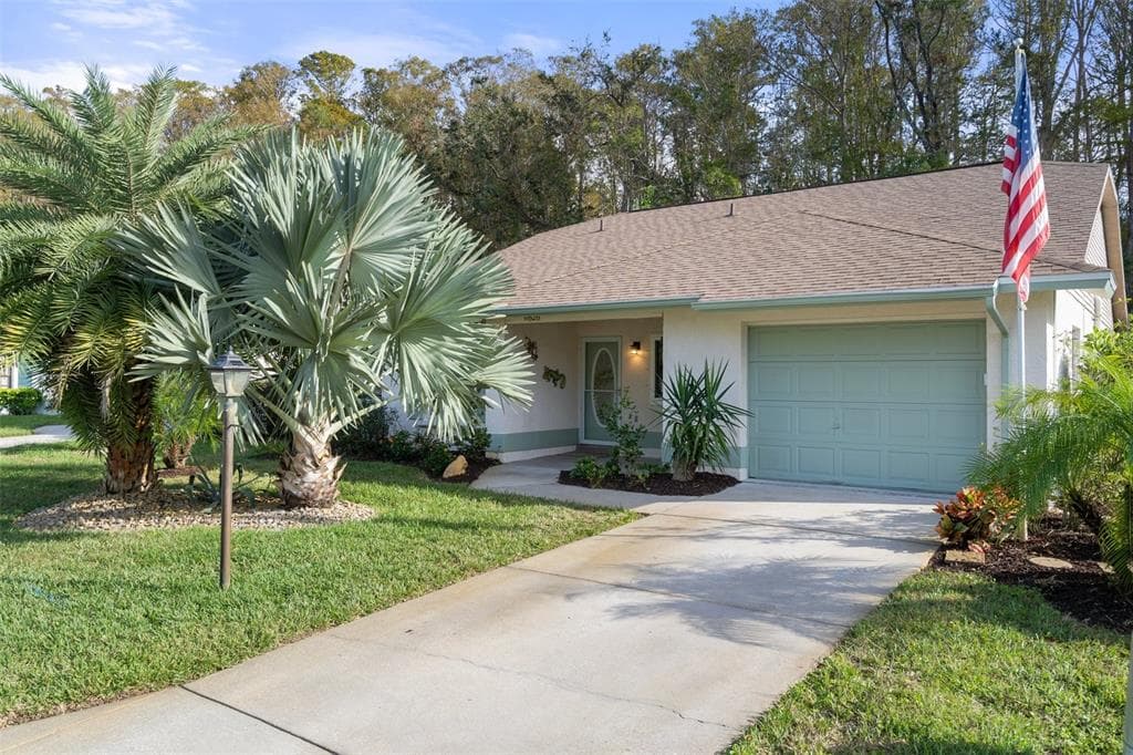 11626 WHITE ASH DRIVE NEW PORT RICHEY, FL 34654