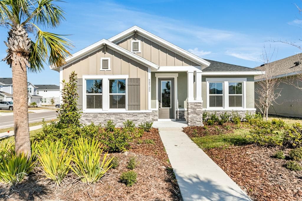 28732 RAMBUTAN DRIVE WESLEY CHAPEL, FL 33543