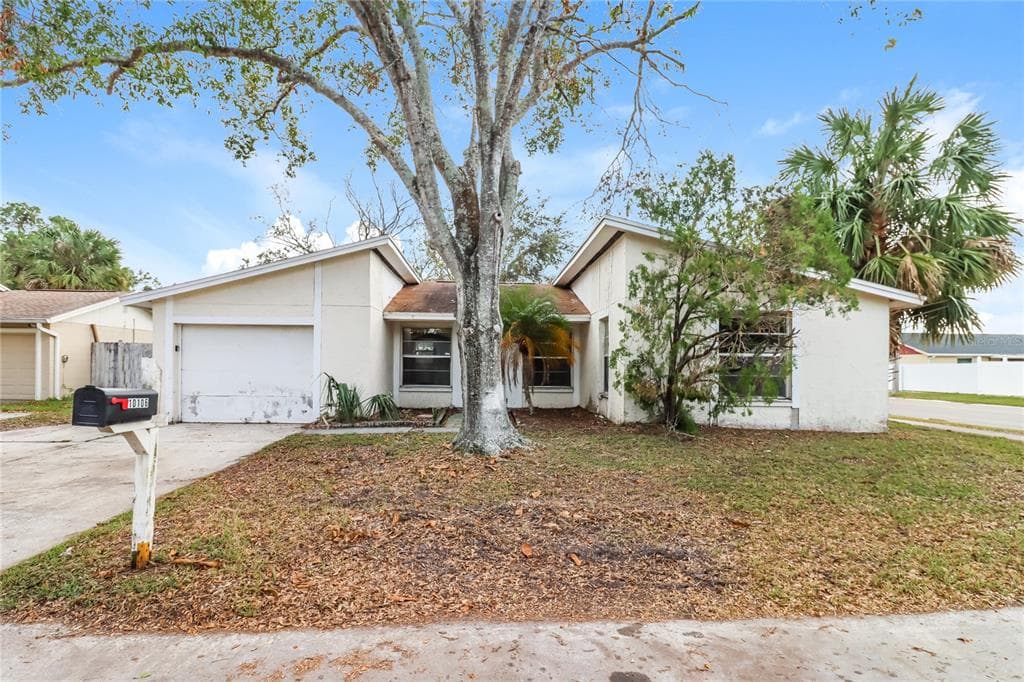 10106 ROYAL ACRES COURT TAMPA, FL 33615