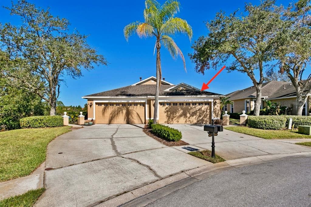 8604 EGRET POINT COURT TAMPA, FL 33647