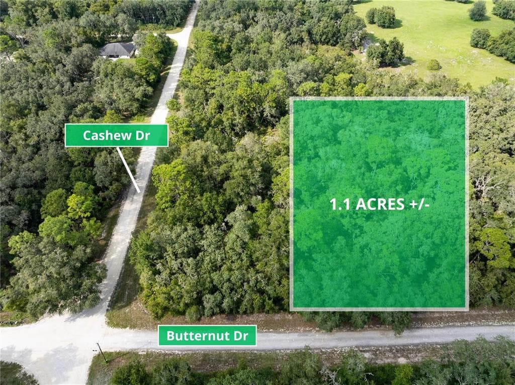 BUTTERNUT DRIVE WEBSTER, FL 33597