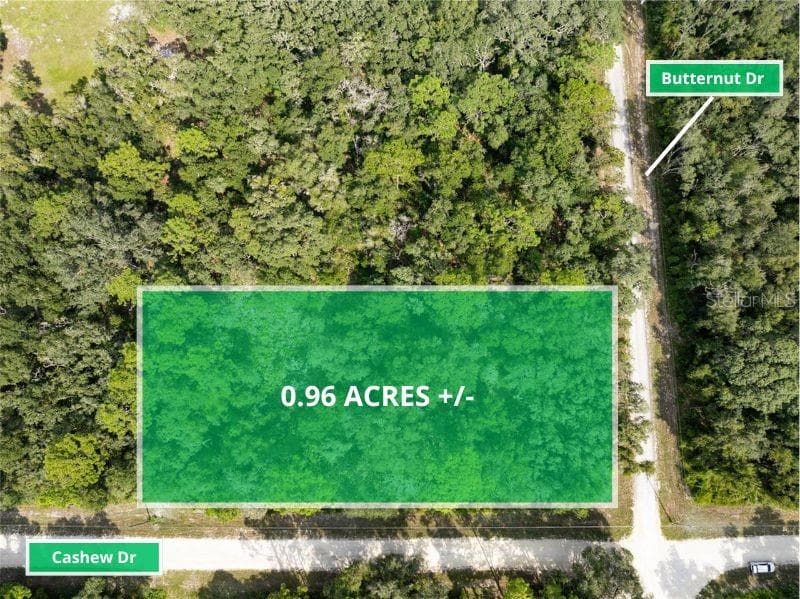 BUTTERNUT DRIVE WEBSTER, FL 33597
