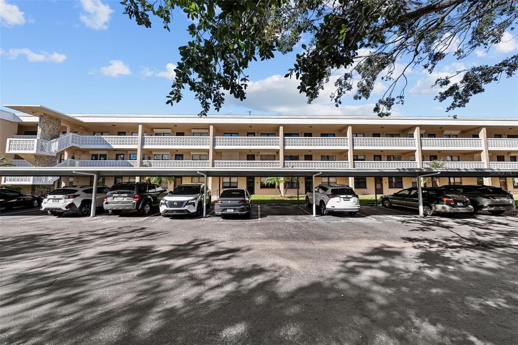 4920 LOCUST STREET NE UNIT 317 ST PETERSBURG, FL 33703