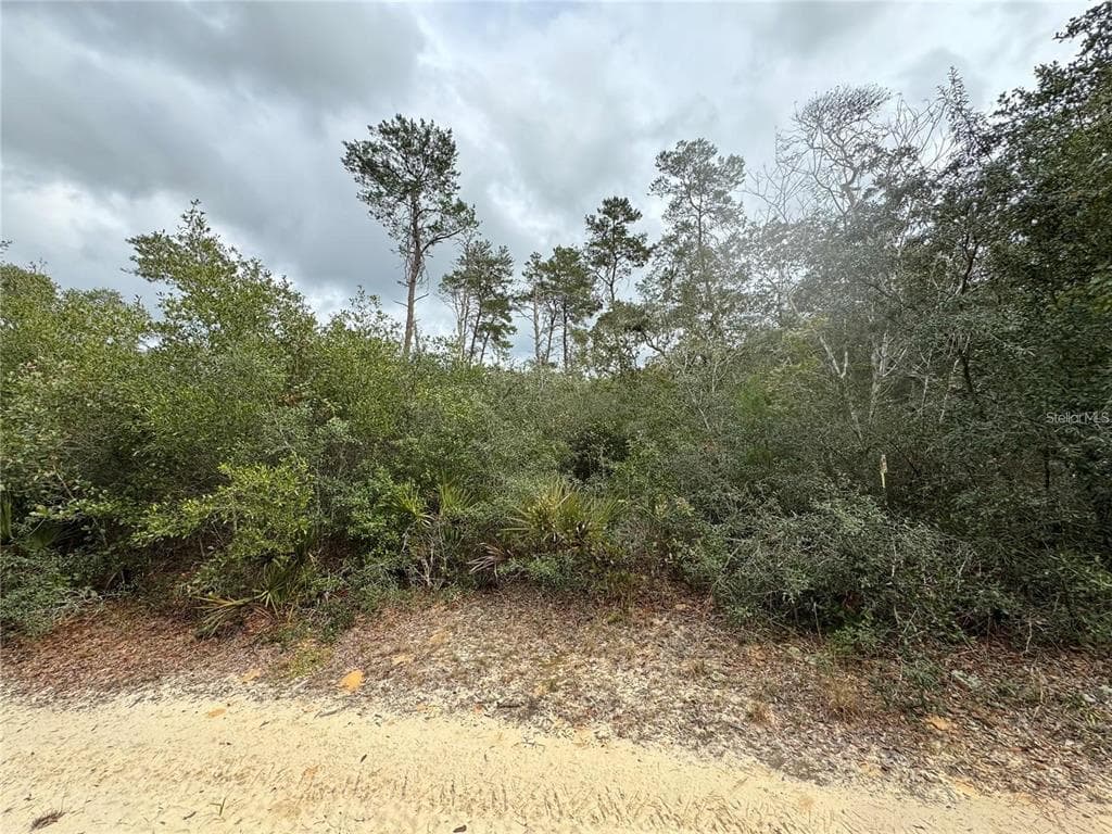 TBD NE 155TH COURT FORT MC COY, FL 32134