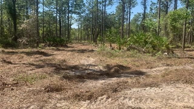 16417 CURLEW ROAD BROOKSVILLE, FL 34614