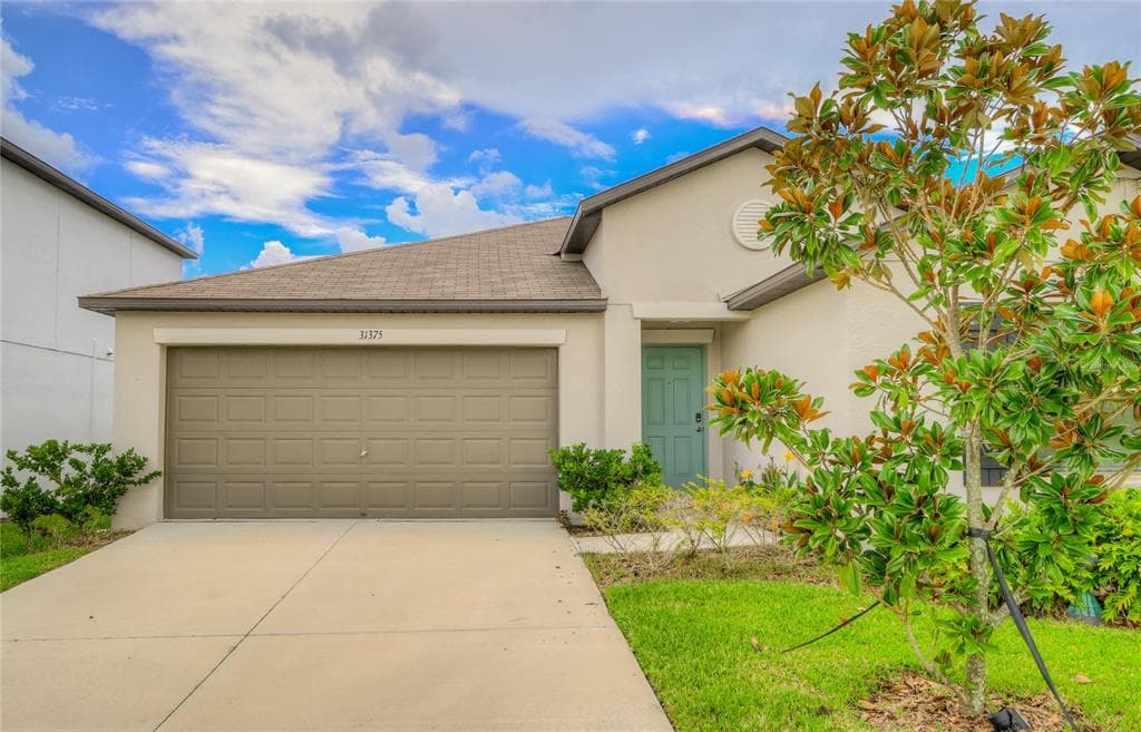 31375 SUN KETTLE LOOP WESLEY CHAPEL, FL 33545