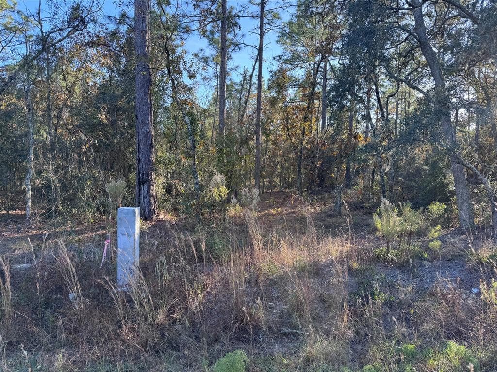TBT SW 91ST LN DUNNELLON, FL 34432