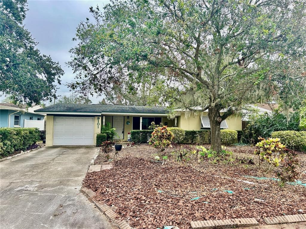 9101 3RD STREET N ST PETERSBURG, FL 33702
