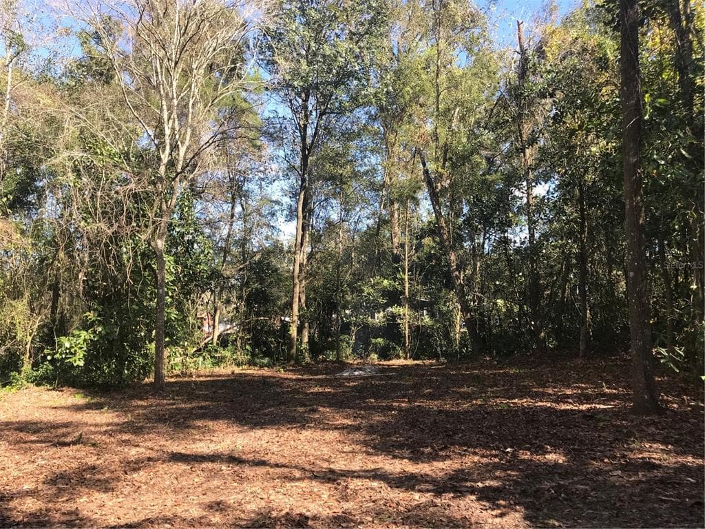 COUNTY ROAD 656 WEBSTER, FL 33597