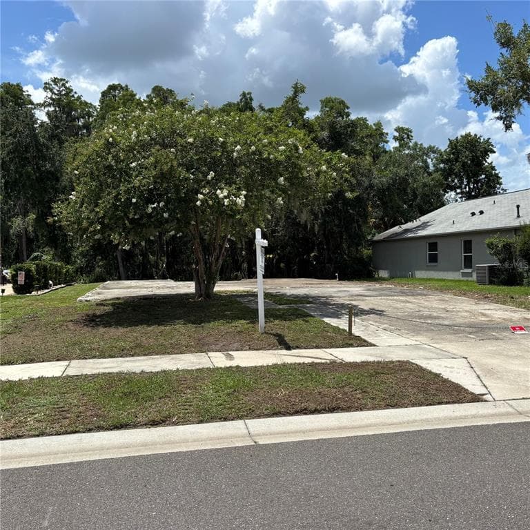 1323 BAYTHORN DRIVE WESLEY CHAPEL, FL 33543
