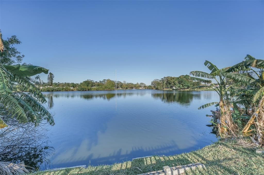 10649 BLOSSOM LAKE DRIVE SEMINOLE, FL 33772