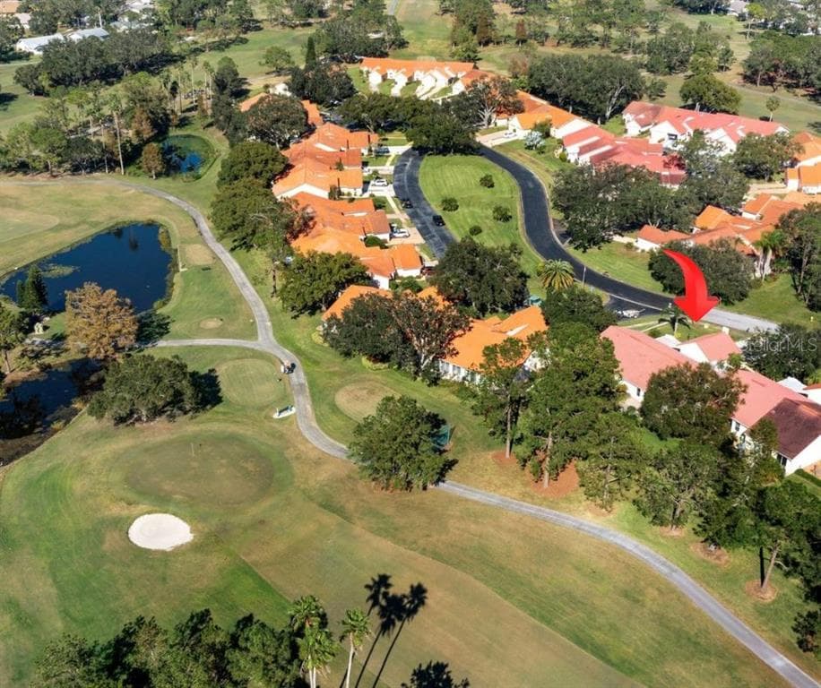 1120 TARTAN DRIVE PALM HARBOR, FL 34684