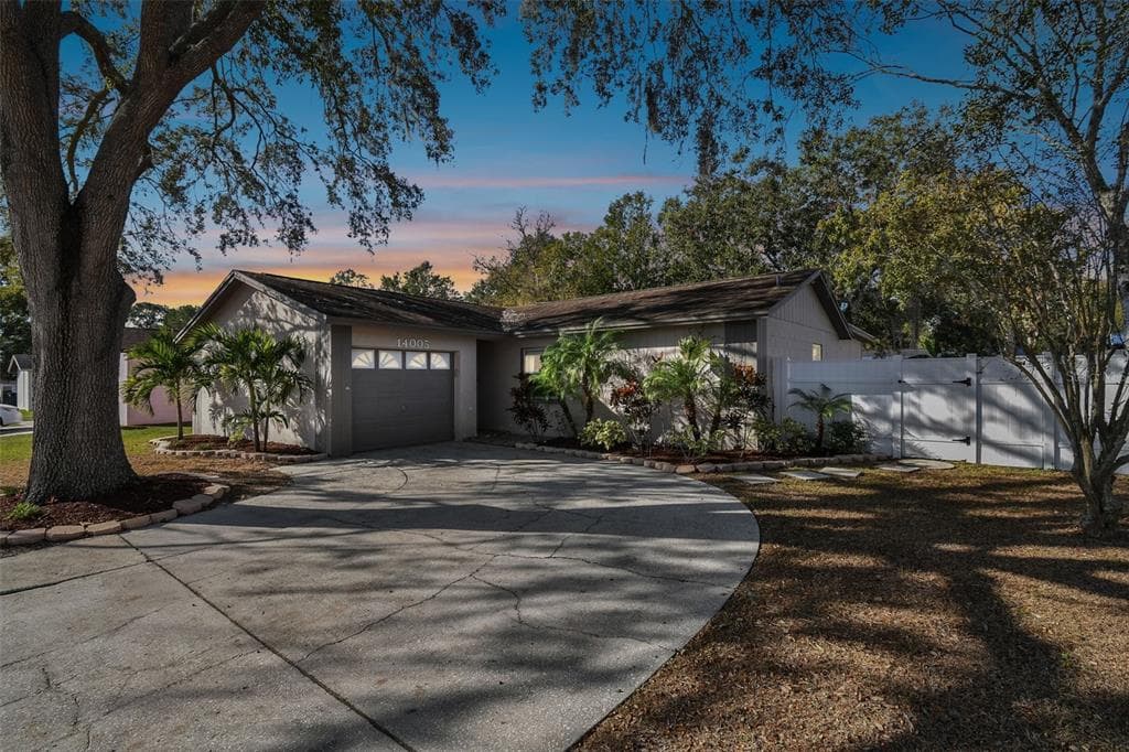 14005 ARBOR KNOLL CIRCLE TAMPA, FL 33625