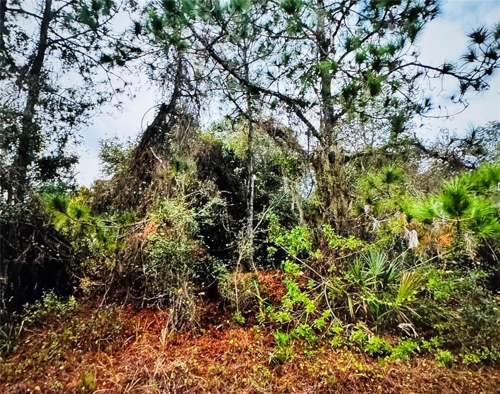 FIELDING STREET NORTH PORT, FL 34288