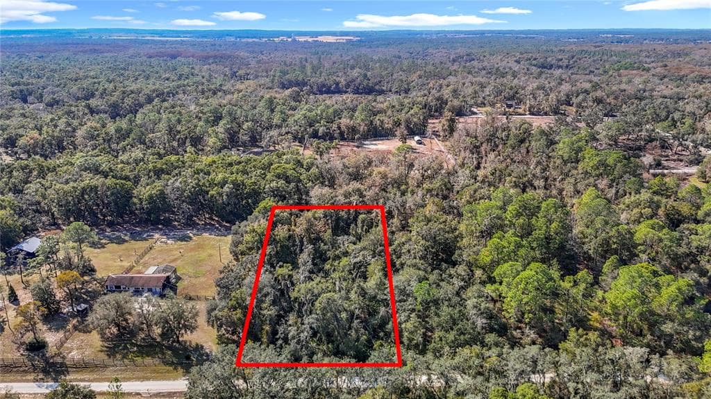 7241 SONIA AVENUE WEBSTER, FL 33597