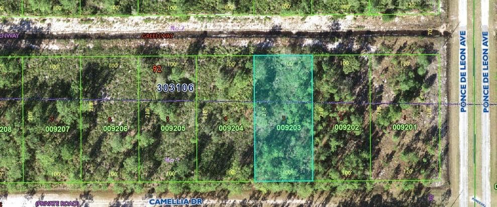 406 CAMELLIA DRIVE INDIAN LAKE ESTATES, FL 33855