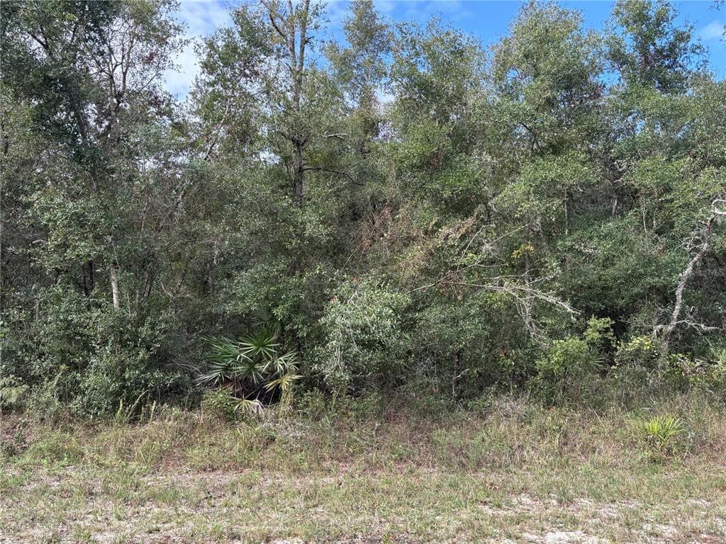 WAGERS DRIVE WEBSTER, FL 33597