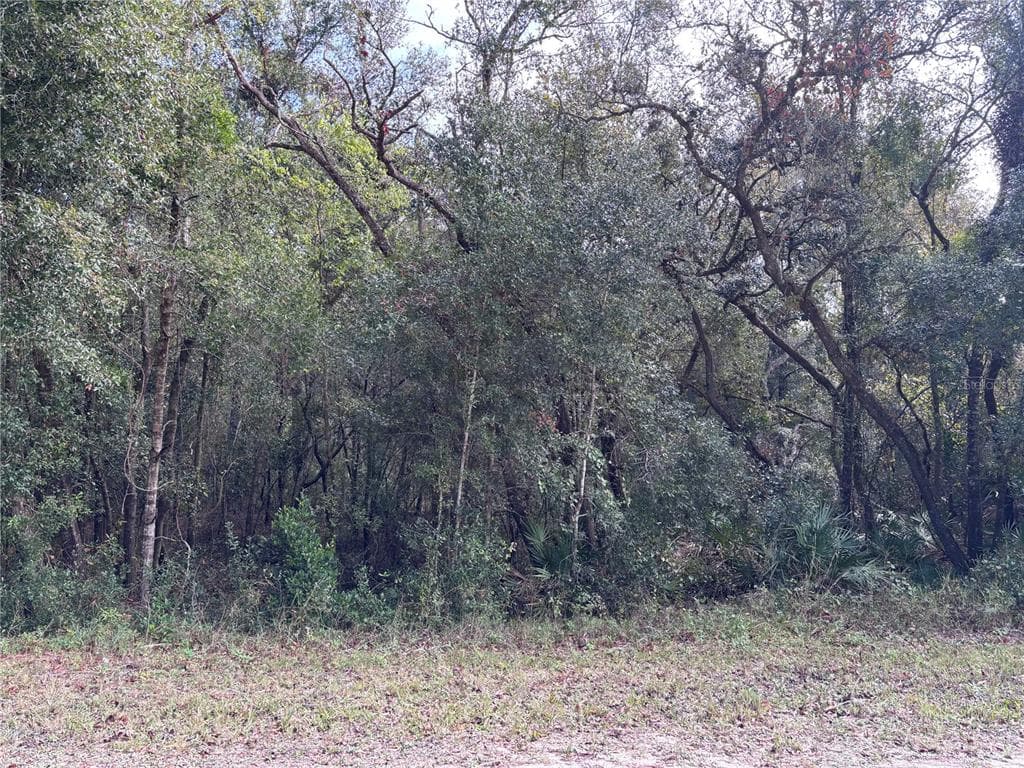 ALLOY STREET WEBSTER, FL 33597