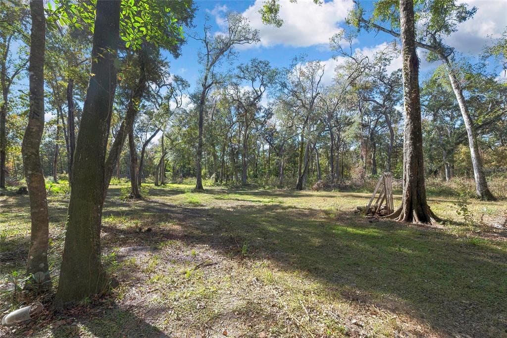 13190 PONCE DE LEON BOULEVARD BROOKSVILLE, FL 34601