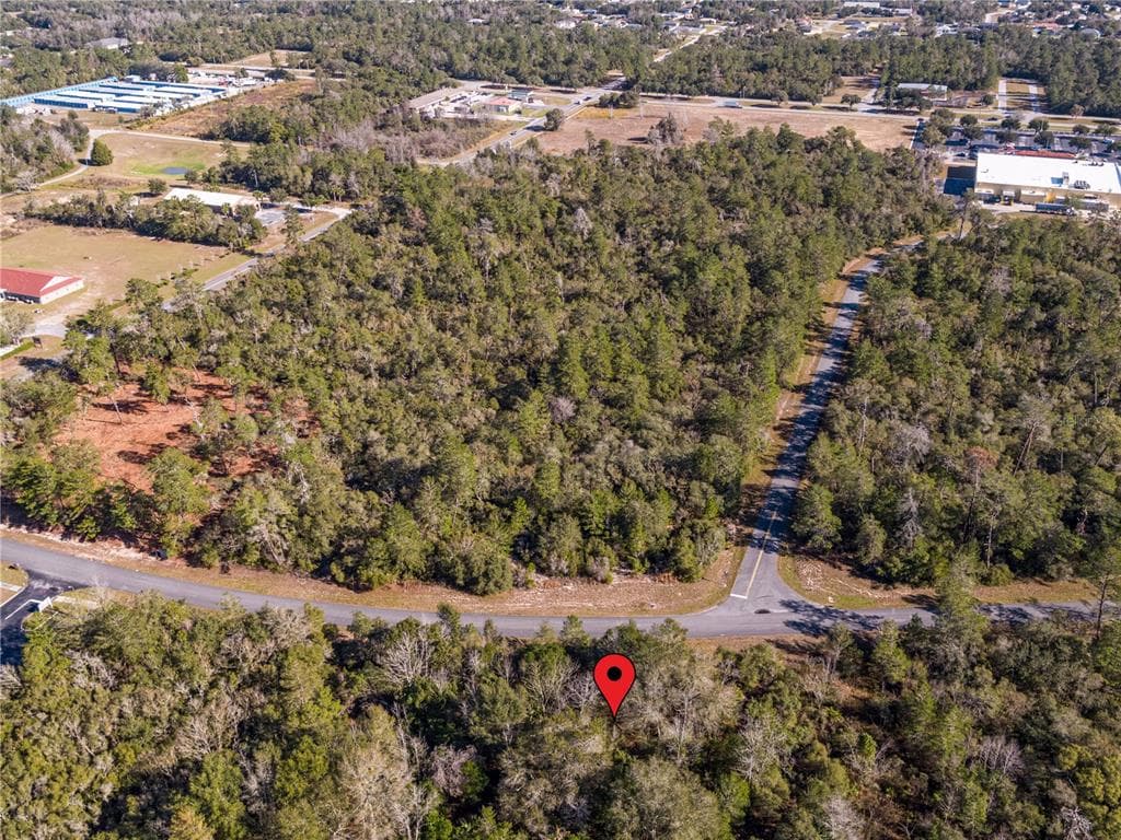 SW 36TH AVENUE ROAD OCALA, FL 34473